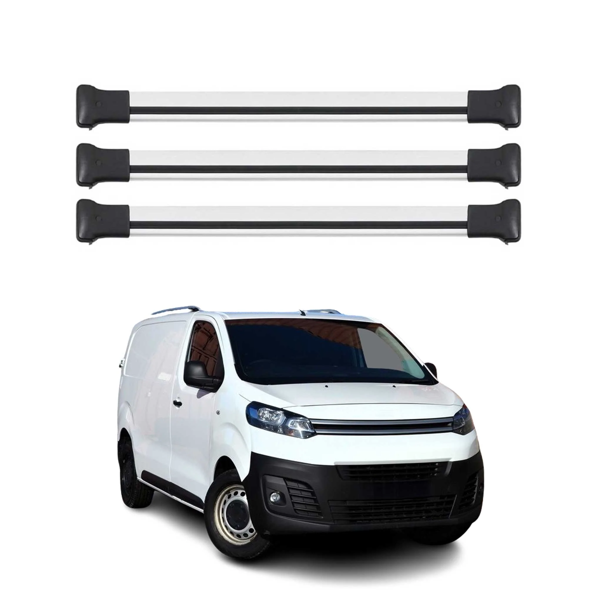Dachträger Grundtäger für Citroen Jumpy 2016-2026 75kg Aluminium Silber 3 tlg
