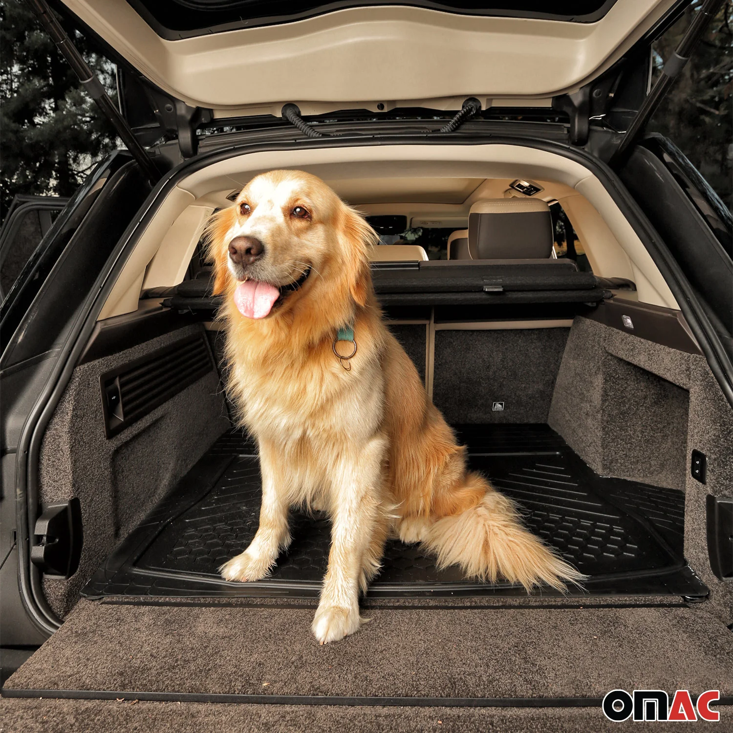 Gummimatten & Kofferraumwanne Set für Dacia Sandero 2021-2026 Antirutsch Gummi - Image 7