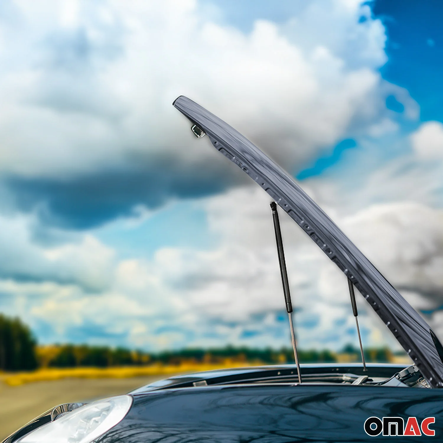2x Motorhaubendämpfer Gasfeder Dämpfer für Audi A4 2007-2015 Limo Avant Stahl - Image 8